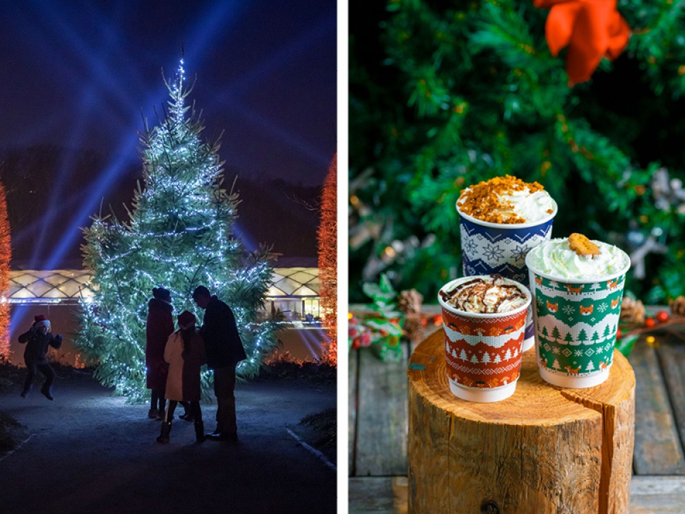 The Alnwick Gardens Dazzling Winter Light Trail Returns Living North
